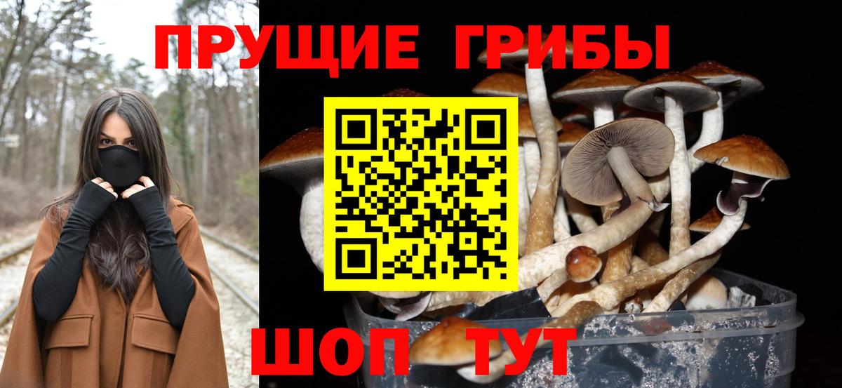 Псилоцибиновые грибы мицелий Искитим